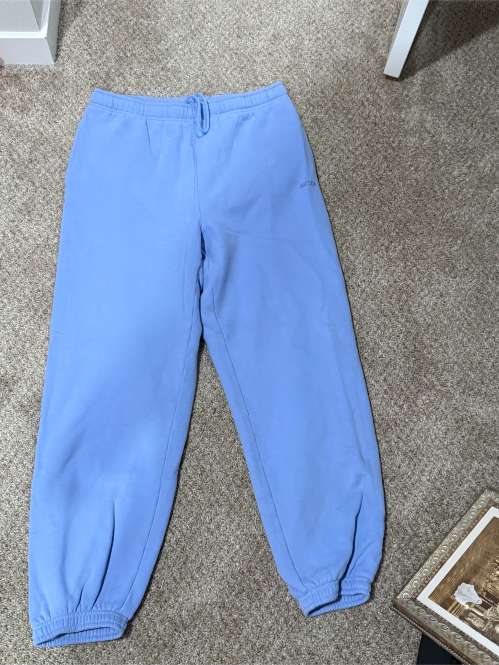 Aritzia Sweatfleece Mega Fit Joggers TALL